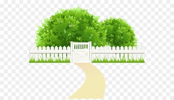 Morning Facebook Wallpaper - Cartoon green background backyard garden 