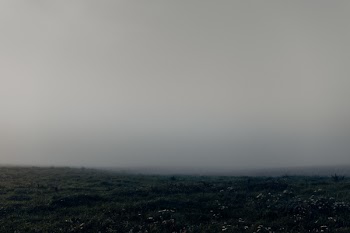 Morning fog in the meadow