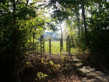 Morning Gate.jpg