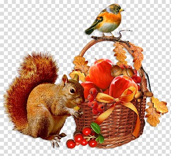 Morning GIF Autumn, autumn transparent background PNG clipart