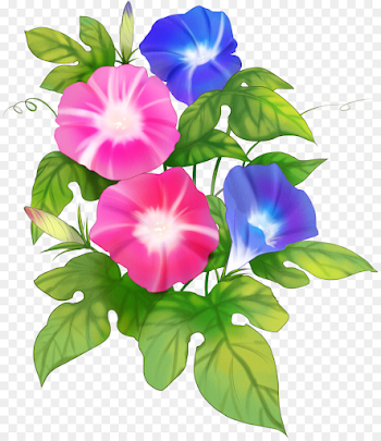 morning glory sky png download - 1829*2102 - Free Transparent ...
