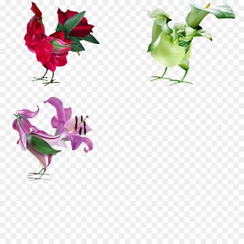 Morning Greeting Wish Image hosting service Wallpaper - chicken,Holiday elements 