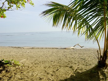 morningbeach1.jpg