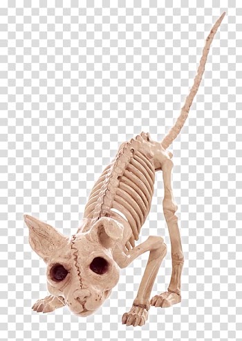 Morris Costumes Se18144 Decorations & Props/Decorations Skeleton Vultu Bone Velociraptor, crazy cat transparent background PNG clipart