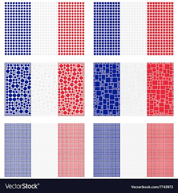 Mosaic France flag set vector image