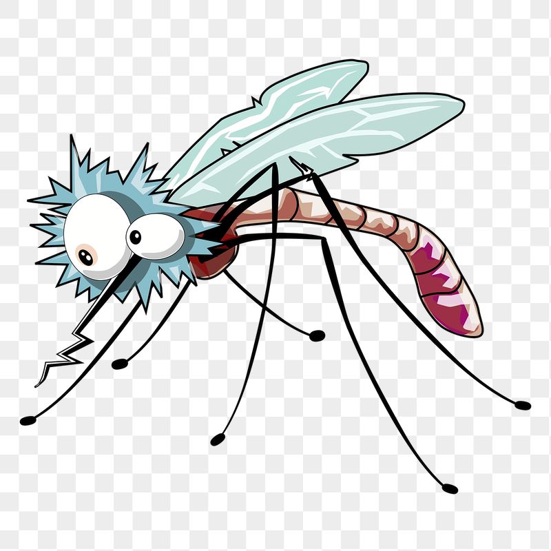 Mosquito cartoon png sticker, transparent | Free PNG - rawpixel