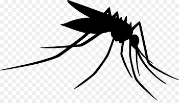 Mosquito Clip art Insect Silhouette Line art -  