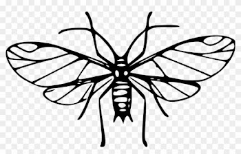 Mosquito Clipart - Mosquitoes Clipart Black And White