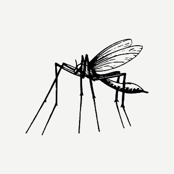 Mosquito collage element, vintage illustration | Free PSD Illustration - rawpixel