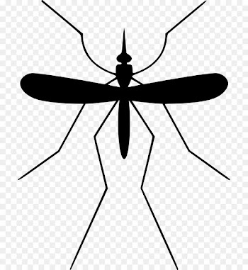 Mosquito control Pest Control Insect - mosquito 