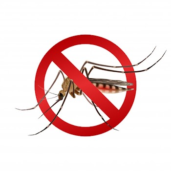 Mosquito stop sign Free Vector