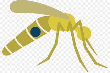 Mosquito Vector Clip art Insect Disease - mosquito 