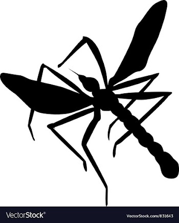  					Mosquito vector image														