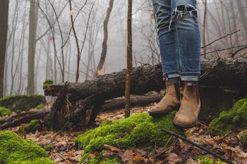 Mossy Forest Hike