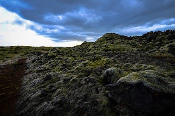 Mossy Rocky Mountain Terrain
