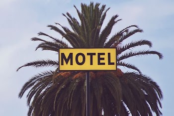 Motel signage in front of the green tree