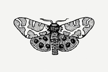 Moth collage element, black & | Free PSD Illustration - rawpixel