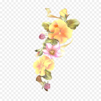 Moth Orchids, Floral Design, Cut Flowers, Pink, Flower PNG