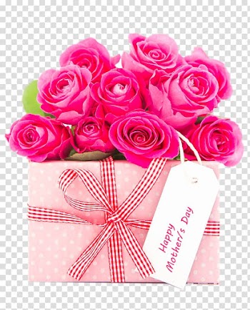 Mother's Day Gift Happiness Mothering Sunday, Bouquet of red carnations transparent background PNG clipart