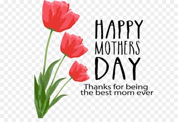 Mother's Day Greeting card Friendship Father's Day - Vector hand-painted flowers 