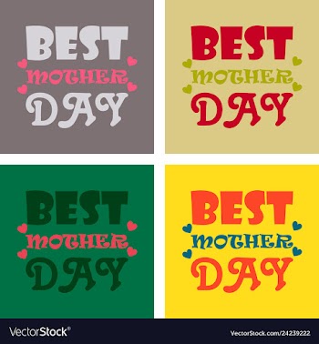 Mothers day greeting card with blossom flowers vector image
