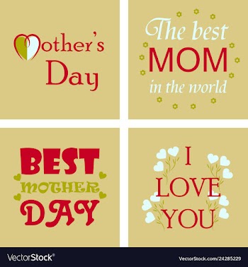 Mothers day greeting card with blossom flowers vector image