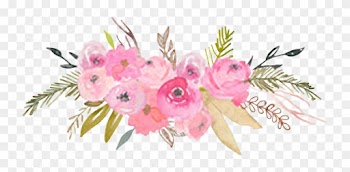 Mothers Day Roses Vector Download - Garden Roses