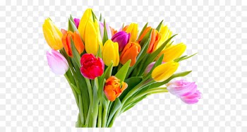 Mothers Day Tulip Flower bouquet - Color bouquet of tulips 