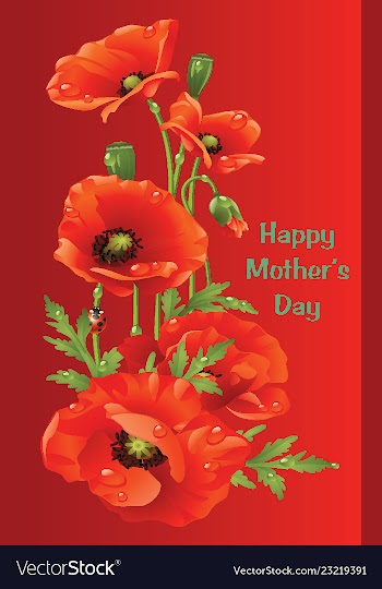 Mothers day vector image