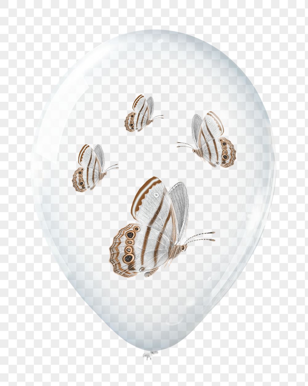 Moths png sticker, animal in clear | Free PNG - rawpixel