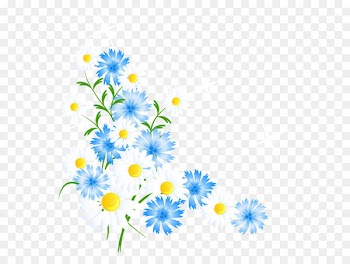 Moto G5 Chrysanthemum LG K10 Oxeye daisy Leather - Spring Flowers Decortive Element PNG Clipart 