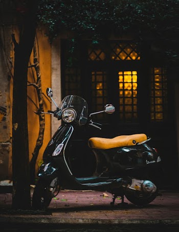 Motor Scooter Parked Near Tree
