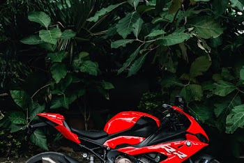 Motorcycle Near Trees