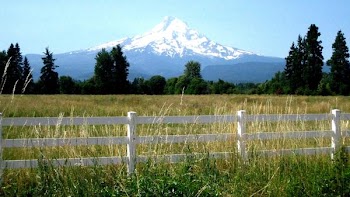 Mount Hood.JPG