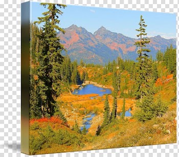 Mount Scenery National park Landscape Painting Larch, painting transparent background PNG clipart