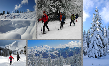 Mount St. Helens | Avalanche Training, Winter Mountaineering