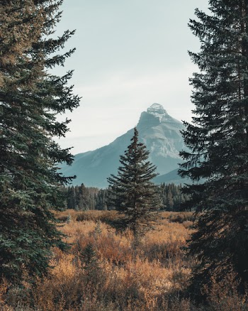 Mountain Alps Covering With Clouds