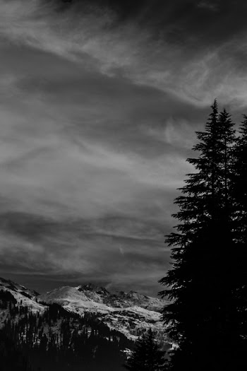 Mountain And Trees