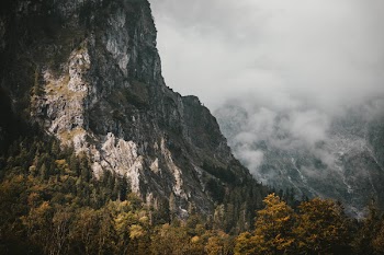 Mountain and Trees