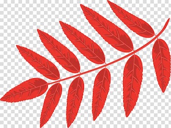 Mountain-ash Leaf Digital , Leaf transparent background PNG clipart
