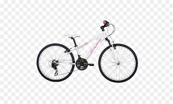 Mountain bike Bicycle Derailleurs KTM Cycling - bicycle 