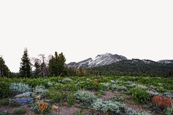 Mountain collage element, beautiful scenery | Free PSD - rawpixel