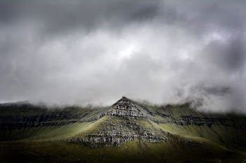 mountain cover with trees photography