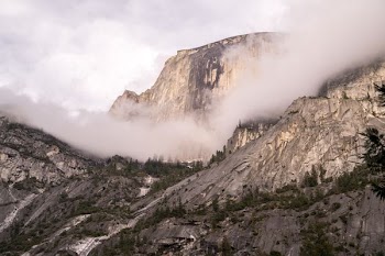 mountain covered by clouds and surrounded by trees