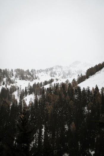 mountain covered by snow during daytime