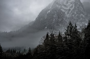 mountain covered snow and surrounding trees