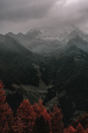 mountain covered with fog during daytime