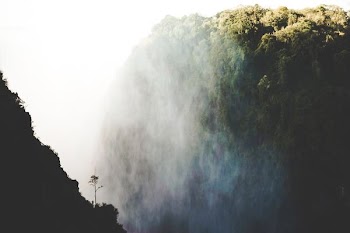 mountain covered with fogs
