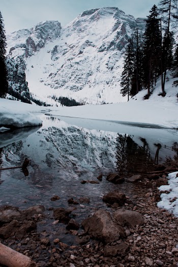 Mountain Covered with Snow