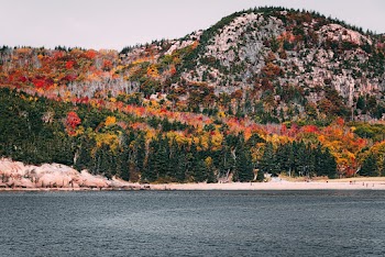 Mountain Covered With Trees